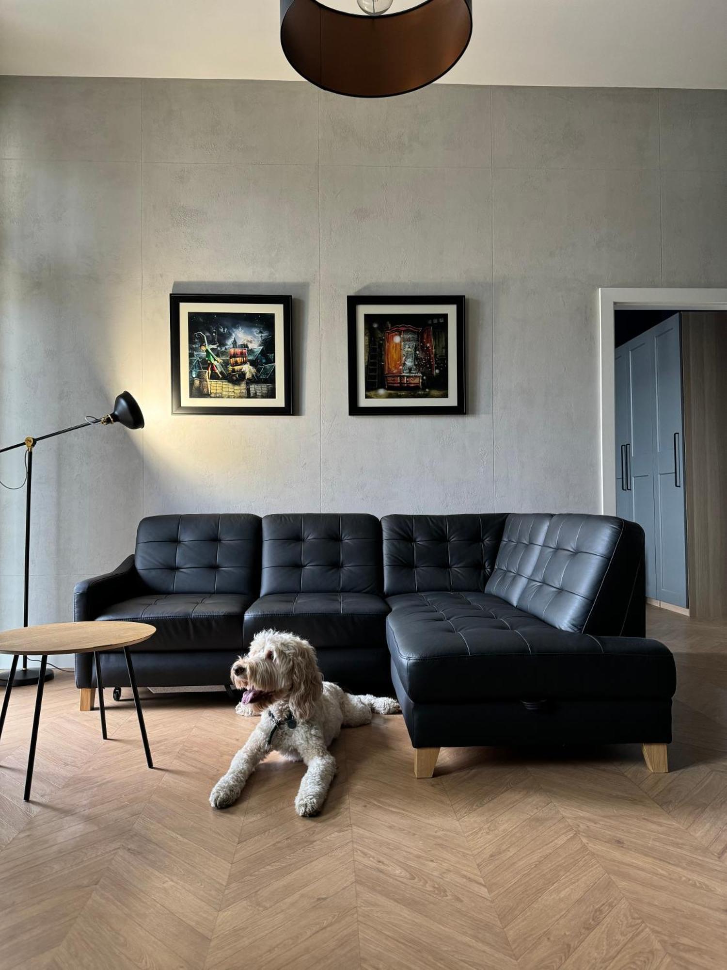 Apartamenty Lemon Pepper Jelenia Gora Bagian luar foto